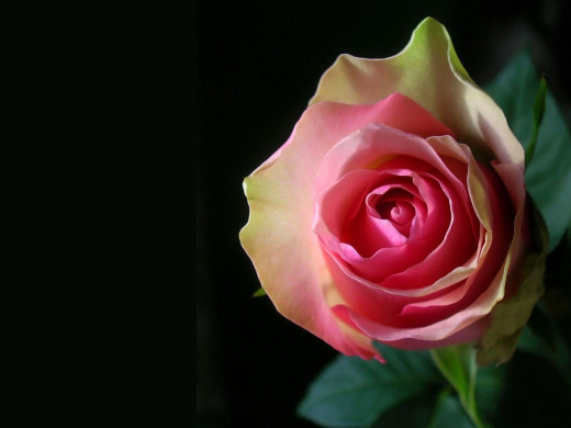 429194 (a): :1600x1200